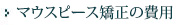 }EXs[X̔p